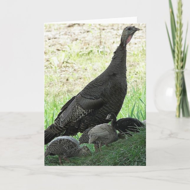 Tarjeta Pavos salvajes (Anverso)