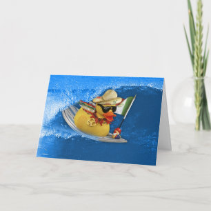 Tarjeta Paz en Cinco de Mayo