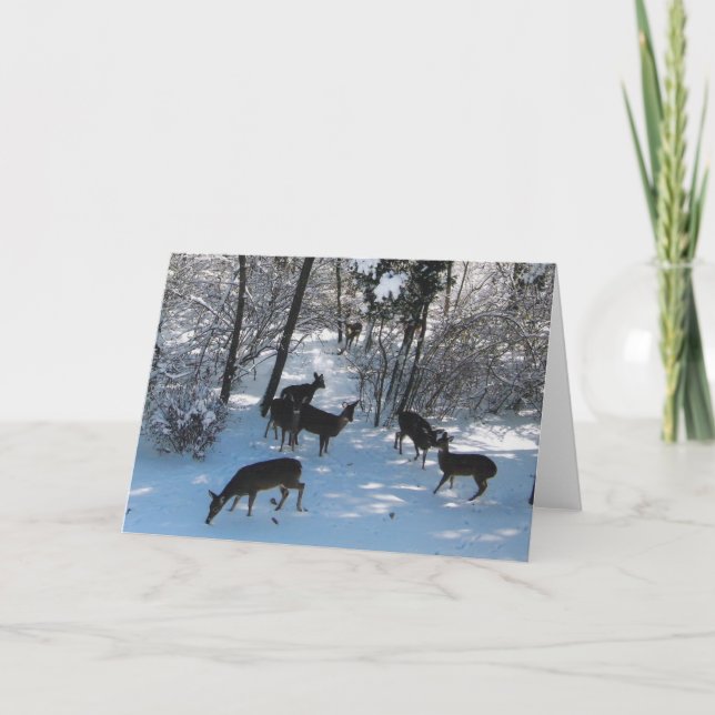 Tarjeta Paz en los Navidades (Anverso)