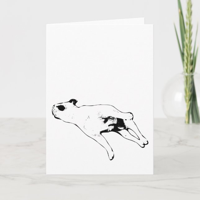 Tarjeta Paz & Patas (Anverso)