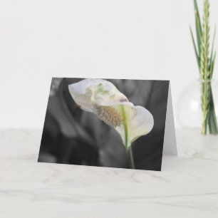 Tarjeta Peace Lily Photo "Happy Birthday!"