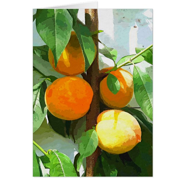 Tarjeta PEACHES (Frente)