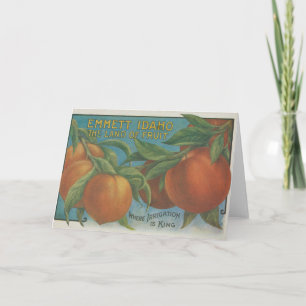 Tarjeta Peaches