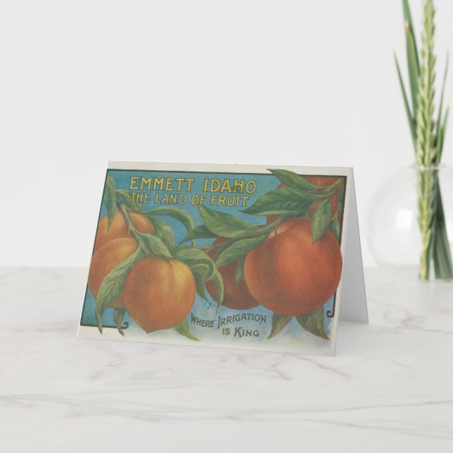 Tarjeta Peaches (Anverso)