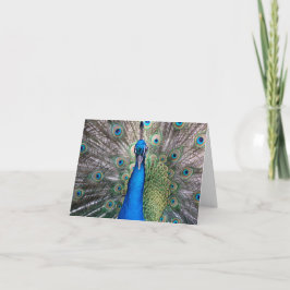 Tarjeta Peacock