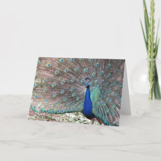 Tarjeta Peacock