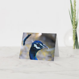 Tarjeta Peacock Greeting Card (Blank Inside)