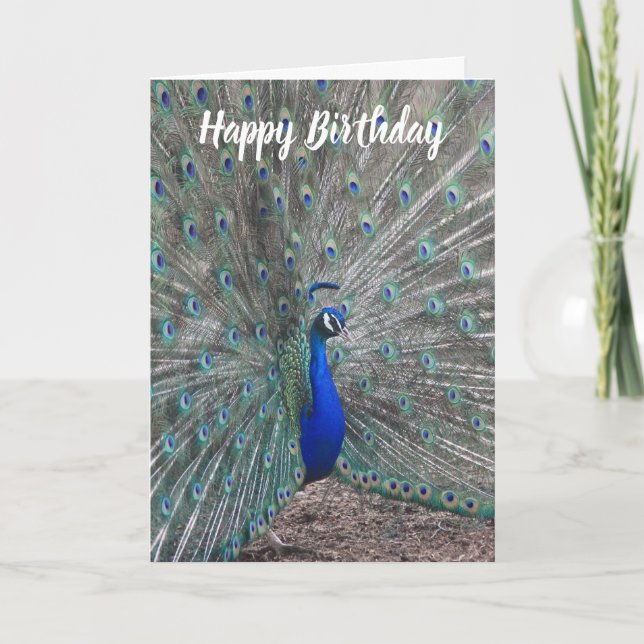 TARJETA PEACOCK PHOTO HAPPY BIRTHDAY GREETING CARD  (Anverso)