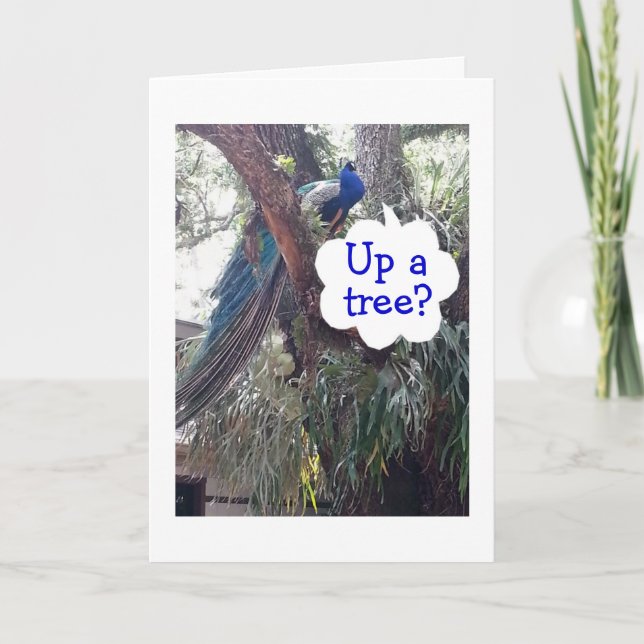 TARJETA PEACOCK PREGUNTA SI ESTÁS LEVANTADO UN ÁRBOL SOBRE (Anverso)