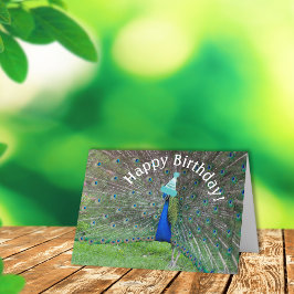 Tarjeta ¡Peacock Strut・Feliz cumpleaños!