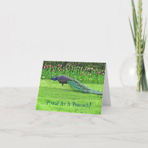 TARJETA PEACOCK & TULIPS /ORGULLOSO COMO PACACO/FELICITACI