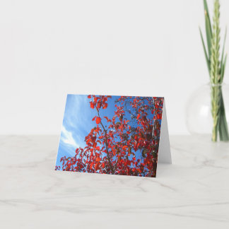 Tarjeta Pear coreano