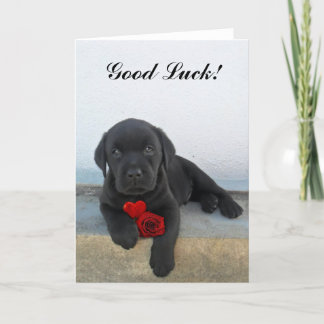 Tarjeta Pecuador labrador de la buena suerte