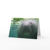 Pedazo del último del cumpleaños del Manatee de la