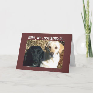 TARJETA PEDIR REGALOS PRONTO BUENOS DESEOS