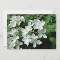 Pee Gee Hydrangea Flowers Monogrammed Blank Note