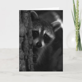 Tarjeta Peek-a-Boo Raccoon