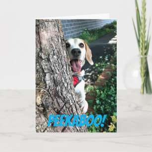 TARJETA PEEKABOO