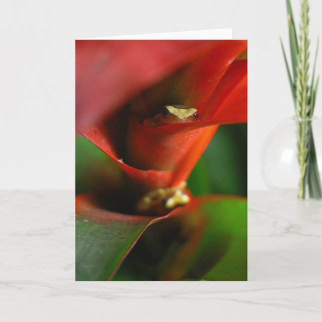 Tarjeta Peekaboo (Anverso)