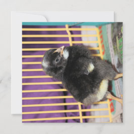 Tarjeta Peep