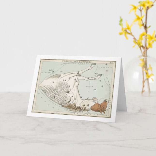 Tarjeta Pegasus - Constelación - Horóscopo - Zodiaco (flor amarilla)