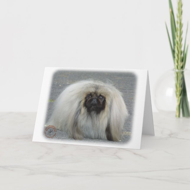 Tarjeta Pekingese 9R072D-026 (Anverso)