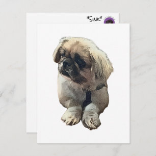 Tarjeta Pekingese en blanco con "Sink"