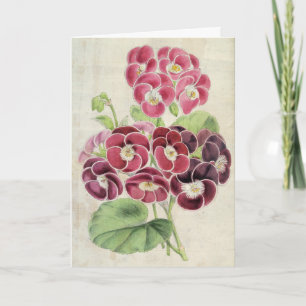Tarjeta Pelargoniums de abertura botánica vintage
