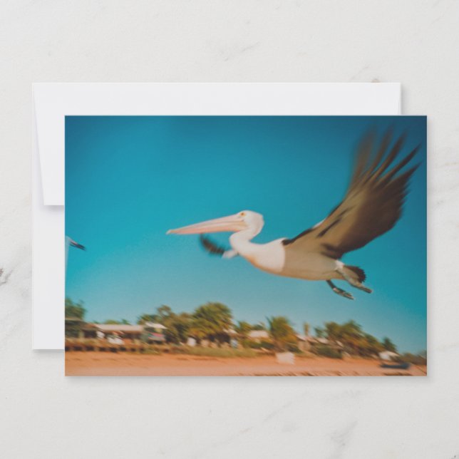 Tarjeta Pelican (Anverso)