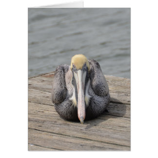 Tarjeta Pelican