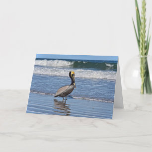 Tarjeta Pelican marrón en la playa de Florida