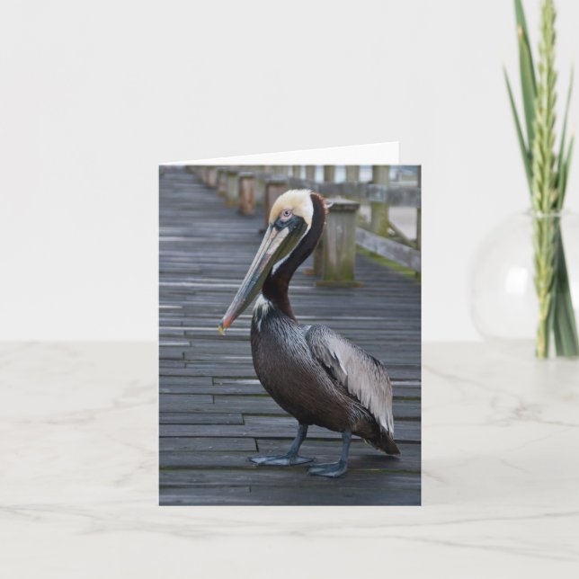 Tarjeta Pelican / Note (Anverso)