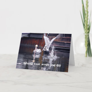 Tarjeta Pelican Takoff