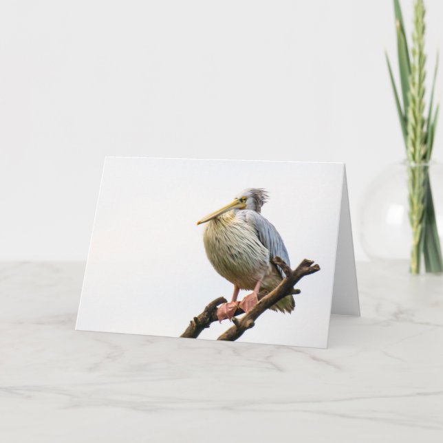 Tarjeta Pelican, Tanzania (Anverso)