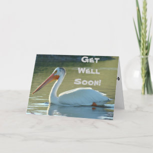 Tarjeta Pelícano blanco B4