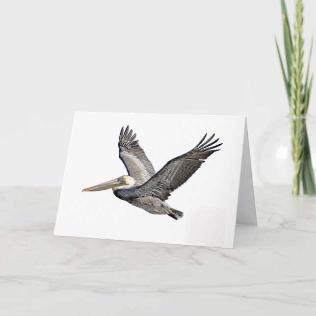 Tarjeta Pelícano claro (Anverso)