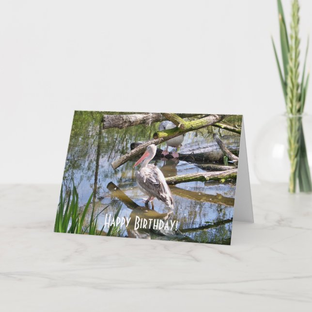 TARJETA PELICANOS (Anverso)