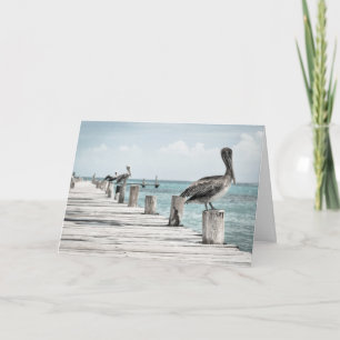 Tarjeta - Pelícanos en el muelle - Feliz cumpleaño