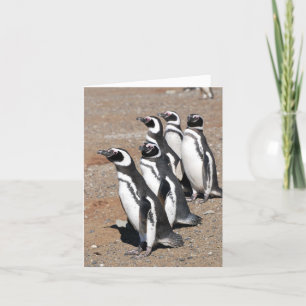 Tarjeta Penguin Feliz Cumpleaños