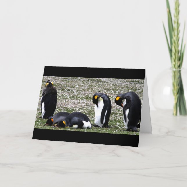 Tarjeta Penquin Mondays Notecard (Anverso)