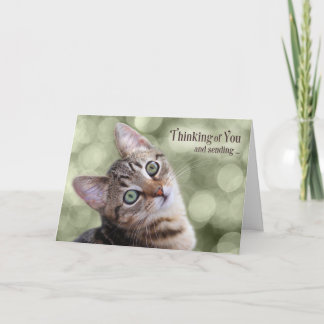 Tarjeta Pensamiento alentador de ti Tabby Kitten