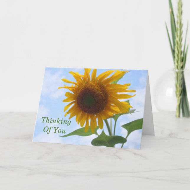 Tarjeta Pensamiento del girasol en tu carta (Anverso)