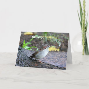 Tarjeta pensamiento en usted…