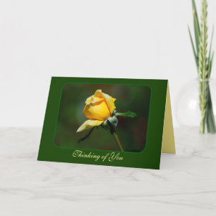 Tarjeta Pensamiento en usted brote del rosa amarillo