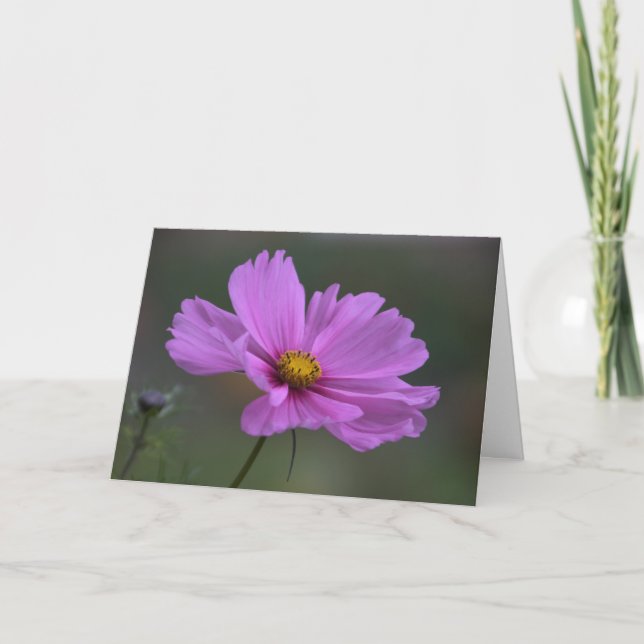 Tarjeta Pensamiento en usted - flor del cosmos (Anverso)