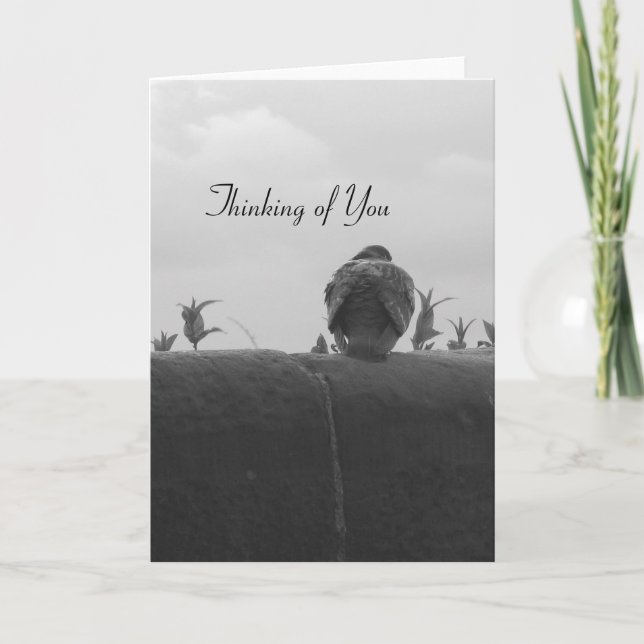 Tarjeta Pensamiento en usted paloma (Anverso)