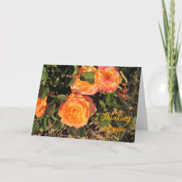 Tarjeta Pensamiento en usted: Rosas coralinos