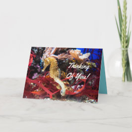 Tarjeta Pensamiento en usted Seahorse