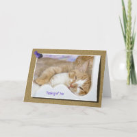 Pensamiento en usted Tabby