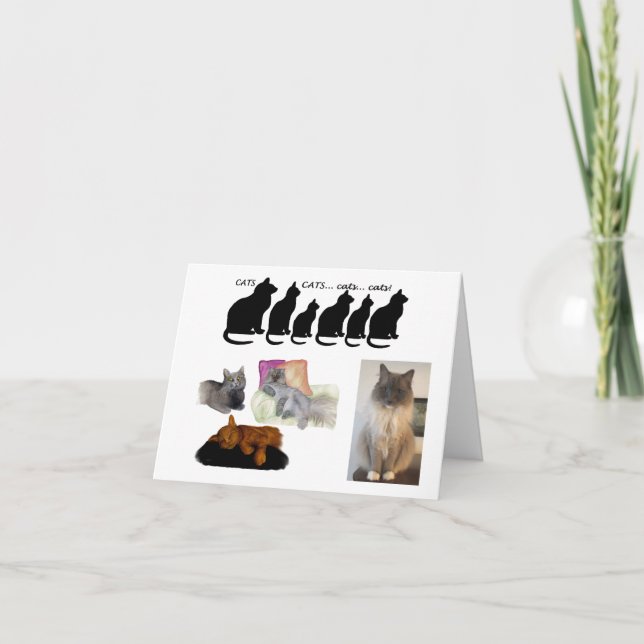 Tarjeta Pensamiento humorístico sobre los gatos (Anverso)